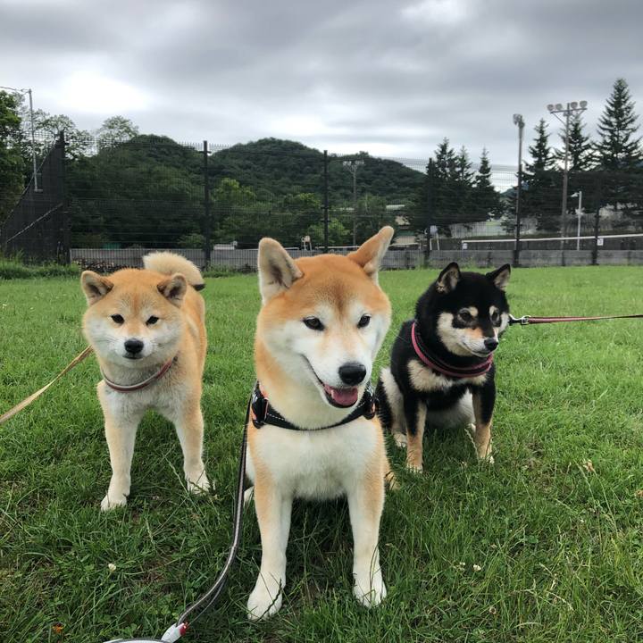 27bdf481 214d 4dc4 8b04 6eebeac6bd7f 1561944579774