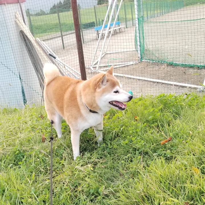 27be557e 6182 4e74 b435 99edfaa50daf 1632384784303