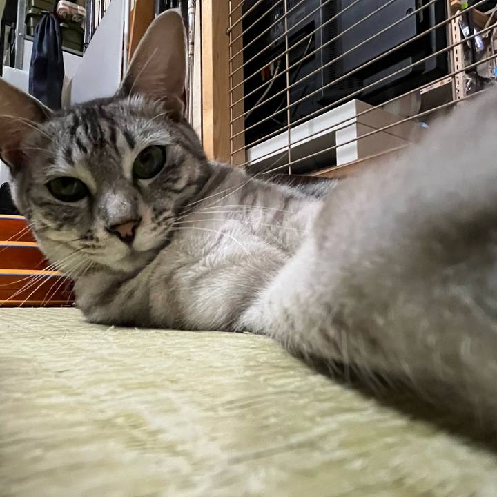 27be60c6 4bfd 4900 88bb 3c528fec9eea 1753316583689