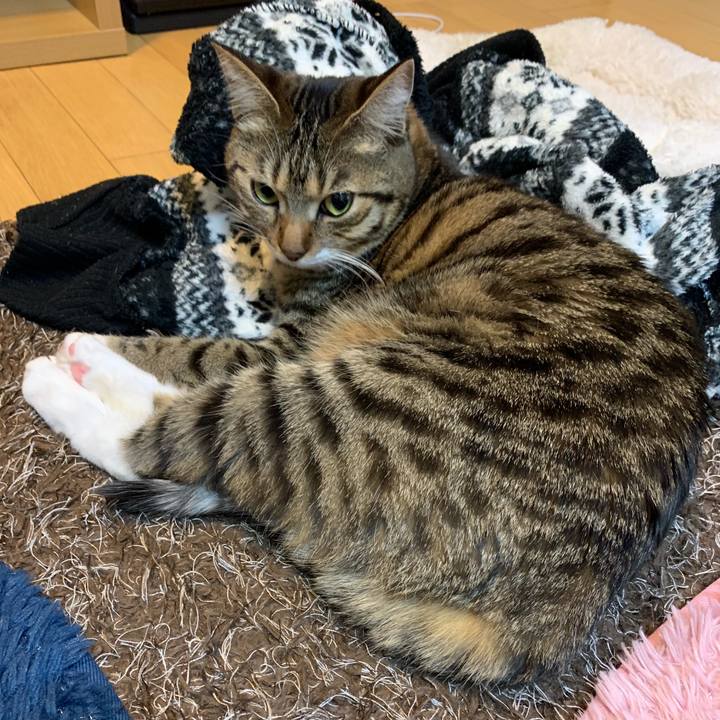 27be934d 2c11 4928 a10e d5ce9cc0a0b2 1550473478616