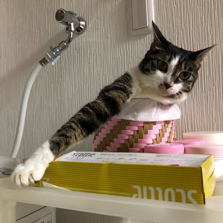 27bec664 978d 4311 97b6 07604234ec3f 1535058374022