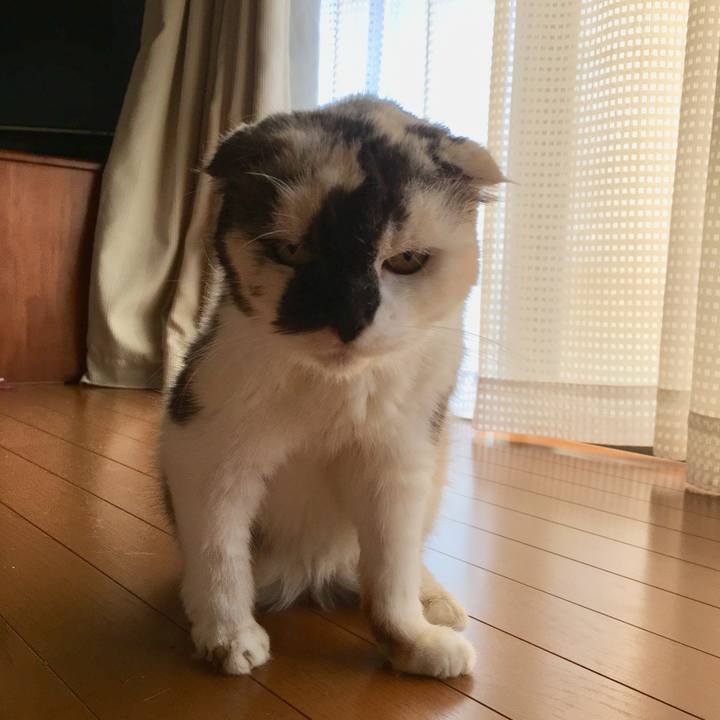 27bec80f fd4d 4abb 9c0e 21a2e695ef80 1565056288424