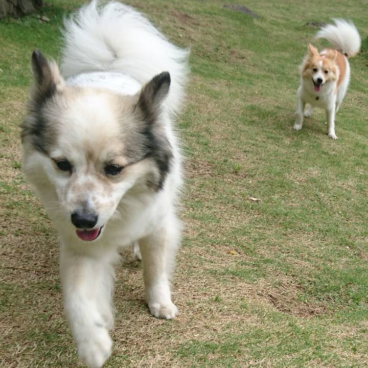 27becbfb 2810 4bcd 87bb da763fd2ffea 1652098450966