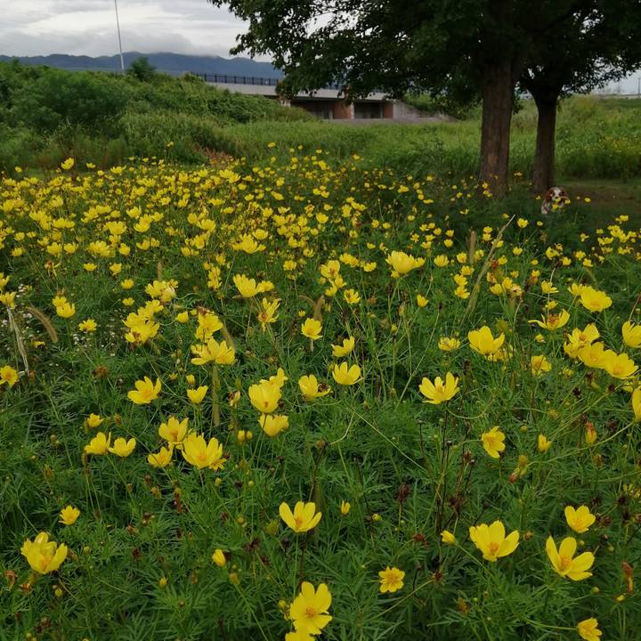 27bf1709 d3a2 4dc2 b5b7 e250be1849f8 1599634928014