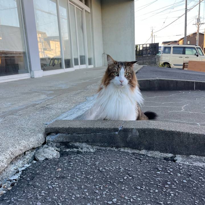 27bf255a 69ec 4a47 b32f a73a13a8f250 1759697260357