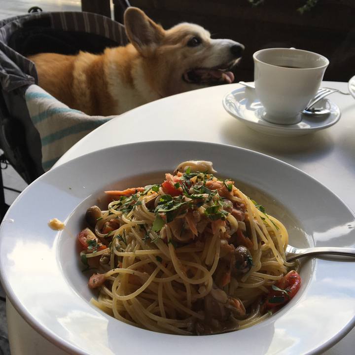 27bf6c0a 2ca7 4137 b712 e41850838228 1572262448504