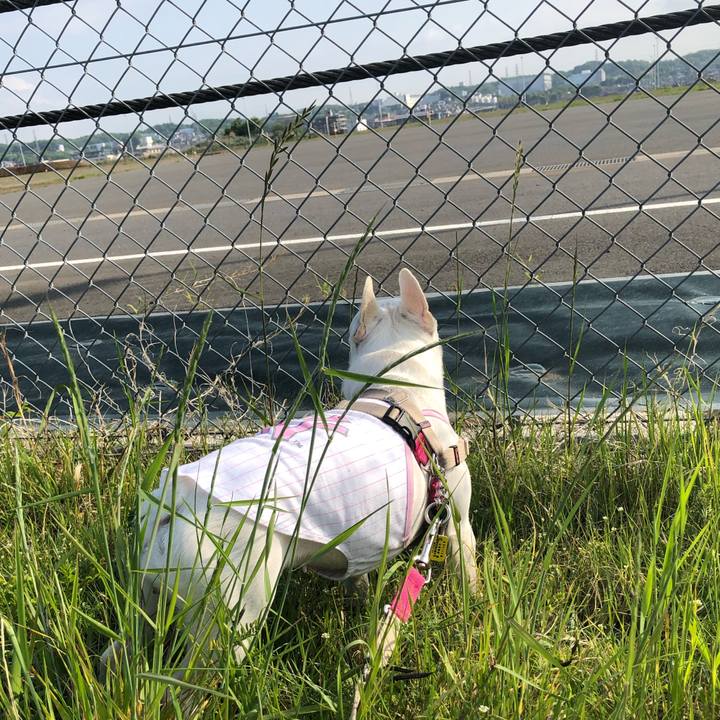 27bf7392 199f 4276 a210 007a32be86be 1556940300955