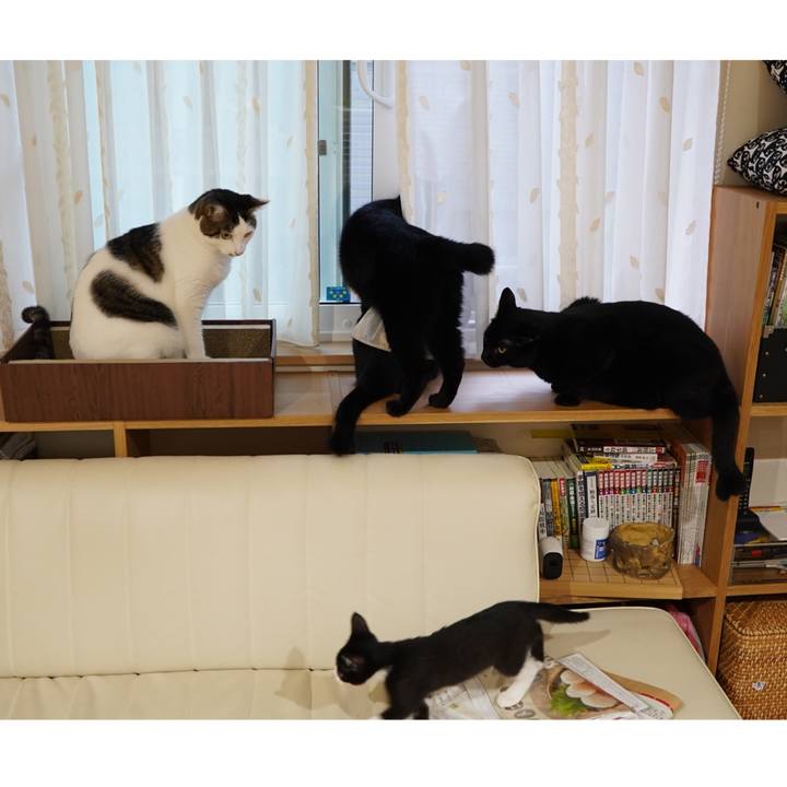 27bfb7a9 58eb 4f2f 86bd 96a63a596488 1568244650583