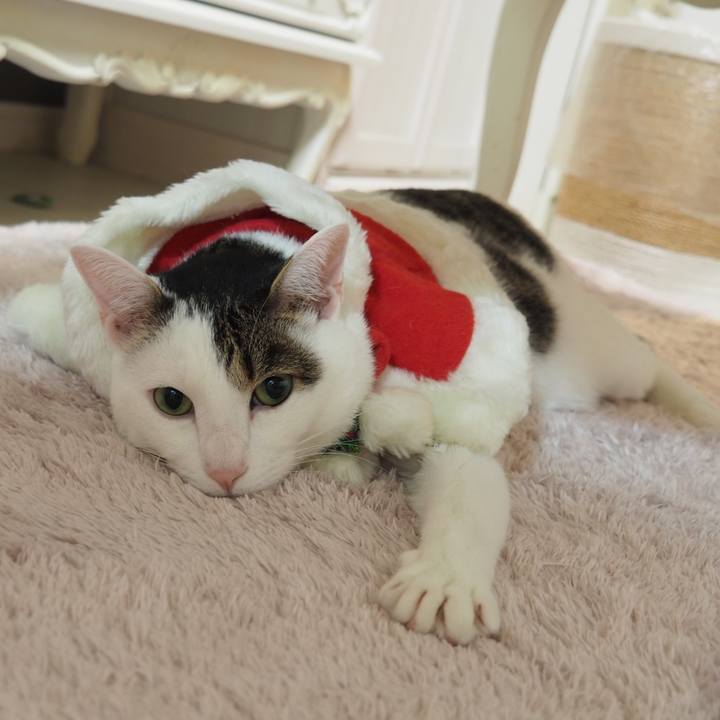 27bfb99b 8035 4389 847b 0143ce3f8a0f 1577203095254