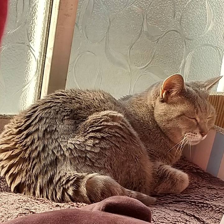 27bfc086 1257 4492 aeb0 d605f9275972 1678322404669