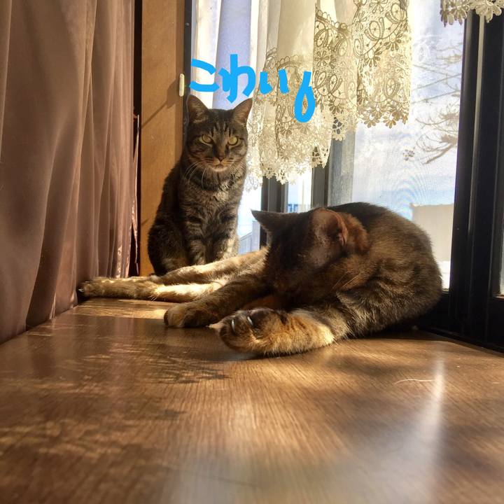 27bfd73a baa7 45ed 9563 d5b572afb39f 1520394456764