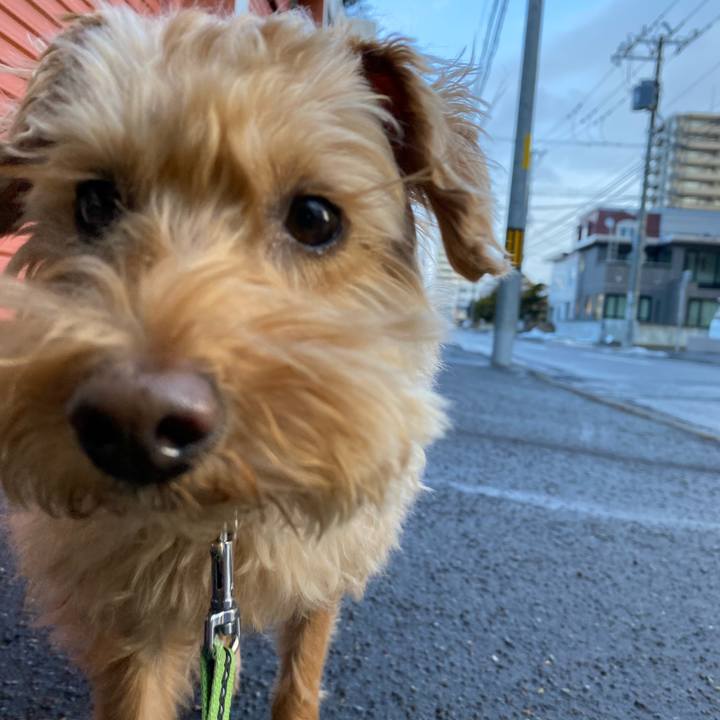 27c02099 7655 425c 9f47 898af4764707 1616368293402