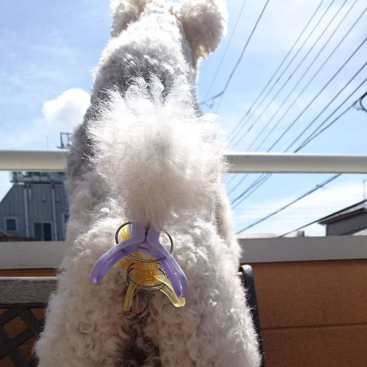 27c02d77 8095 4e40 8ece c7107c7bbed3 1528417802415