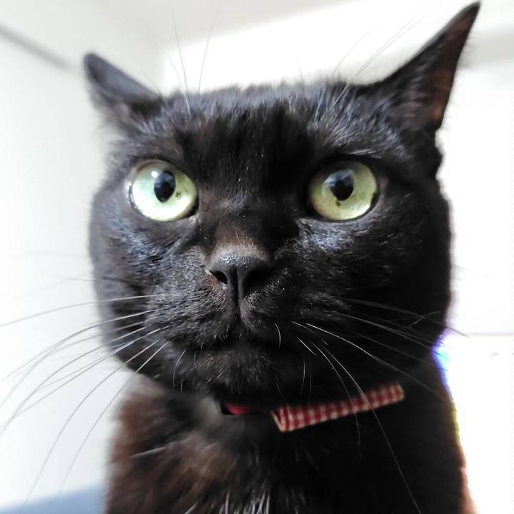 27c03329 1568 4e5a a418 c8dbeb311fda 1768818089918