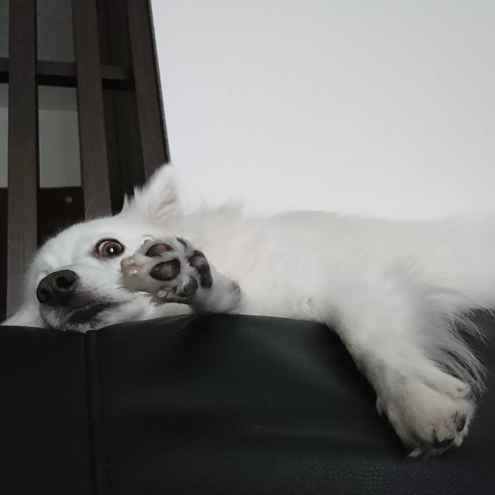 27c0426e 4c32 441f b54f 5f4955aefabc 1589935998527