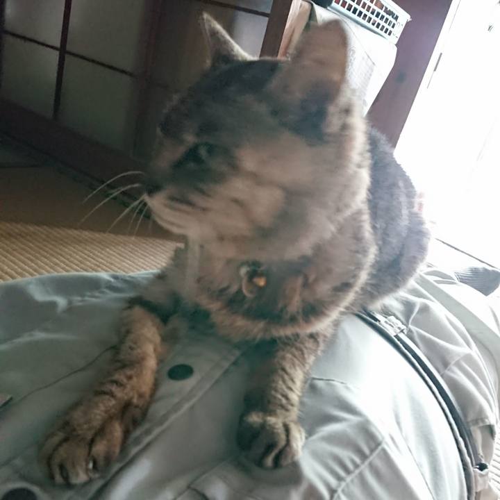 27c05040 fd41 440c 8e87 8dbf2bda0238 1593842513309