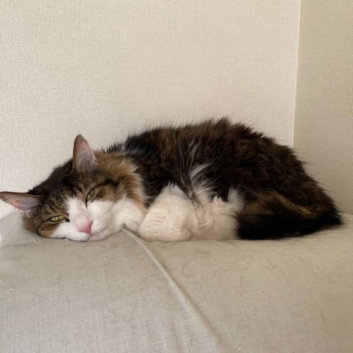 27c05586 e274 41e5 ba61 630381e31a4d 1672963946147