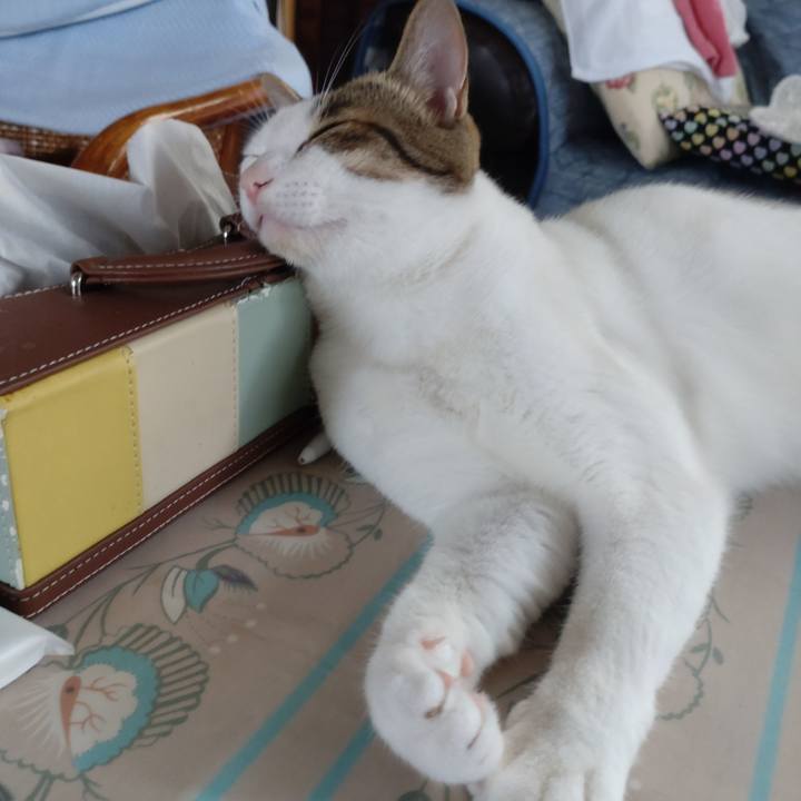 27c05873 9dcb 405e a813 97d3323f1f84 1694995272469