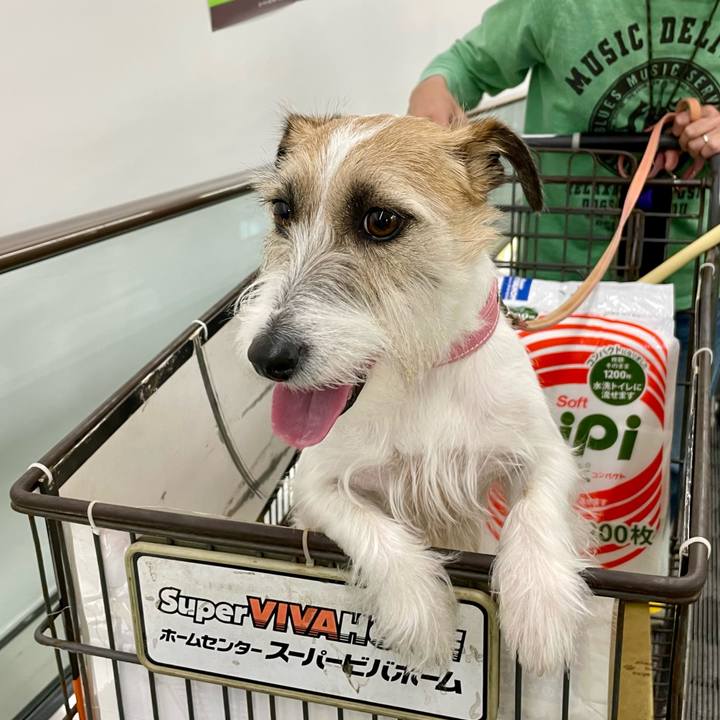 27c06861 c0d0 4376 92e5 03c4c7ded656 1677417546481