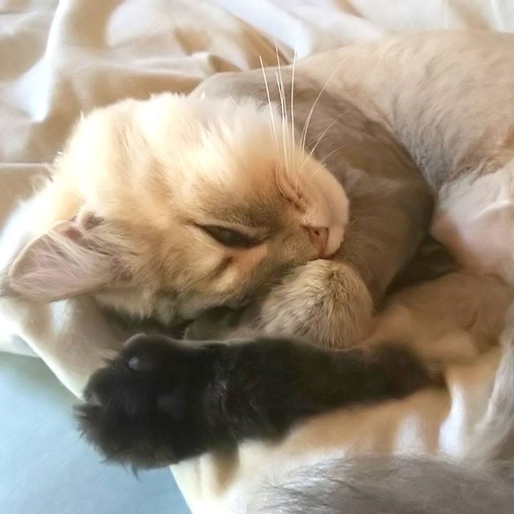 27c06f3b 3917 42d0 87b8 b4f47a37fea6 1597902155827