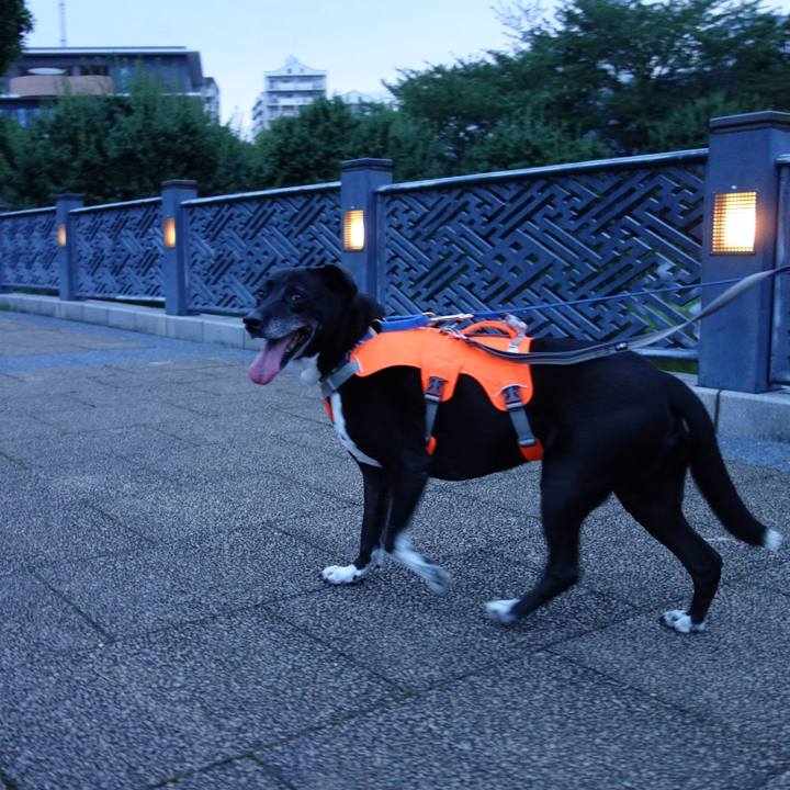 27c08b07 4e04 44b4 8e23 ebe513a14732 1720696133128