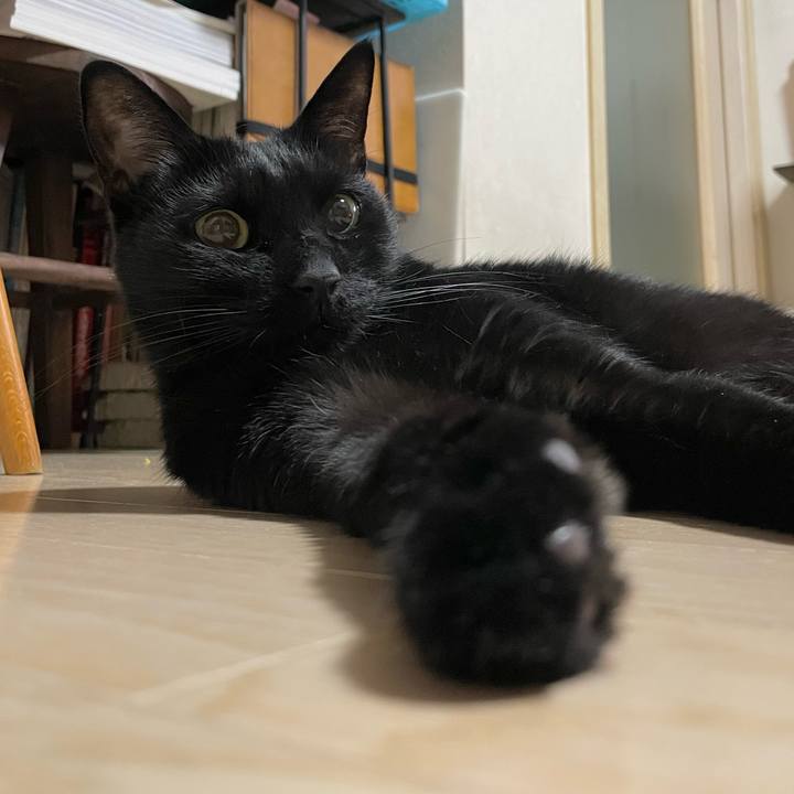 27c0d546 1672 4a53 bc52 93c1d20519c3 1762779920959