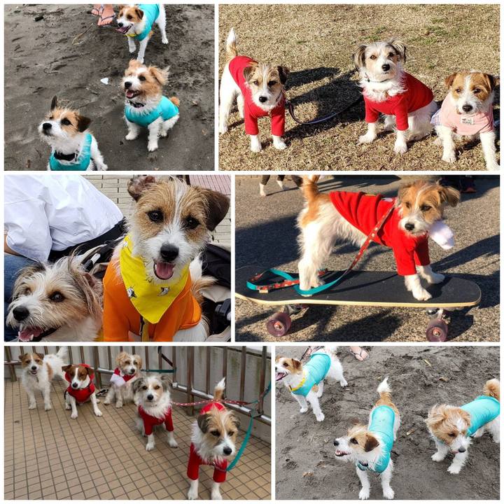 27c12cb7 ec8c 4a9f 9f1e 16581c75680f 1736988181887