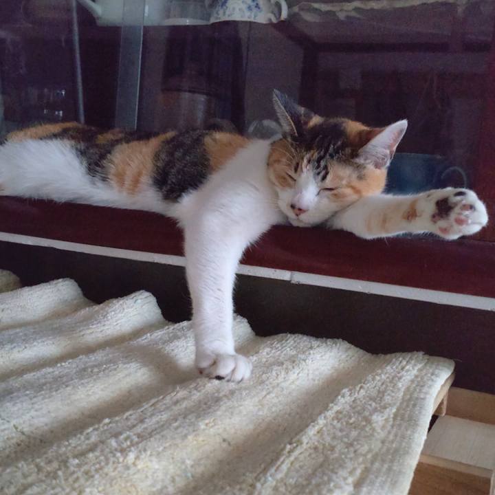 27c13aa4 dac8 4120 a13e 4480a8849bb6 1666479069628