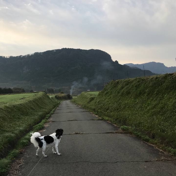 27c1dad7 0b89 47db 9032 5b8d156250ca 1539869563313