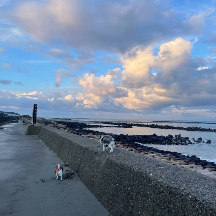 27c2058a 506c 4e78 818a 428f2214ee91 1737503199422