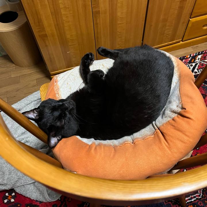 27c251ea 5ad1 4f44 a7bc dd6ba0b83a95 1722600476219