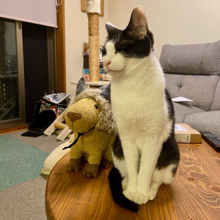 27c258d3 1a05 4881 a00a 70750a85e282 1761919008138