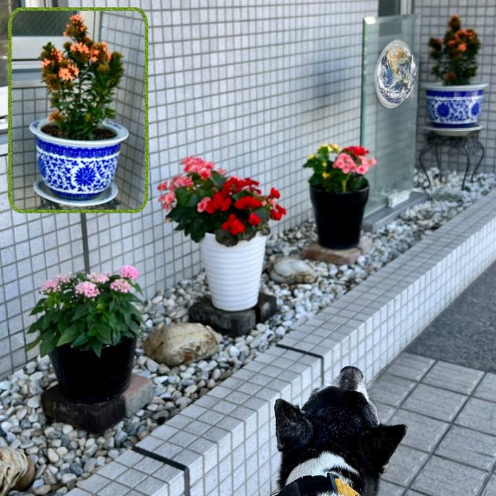 27c26540 7987 4ad7 95da 8defa9544a33 1659227041650