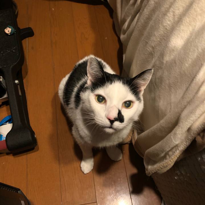 27c26771 0e86 477e 8221 46c8d3692aee 1641715140662