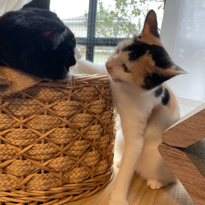 27c2678b 73e1 40dd b774 2188c1c36c62 1665965095796