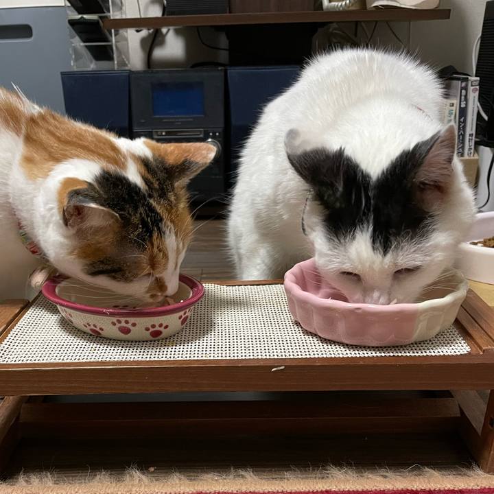 27c29cc1 0fd6 41b1 a559 a03f4b98ed7f 1645524877867