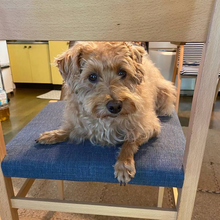 27c29da1 df28 499b 9e2c e3d7078f2e75 1632179608251