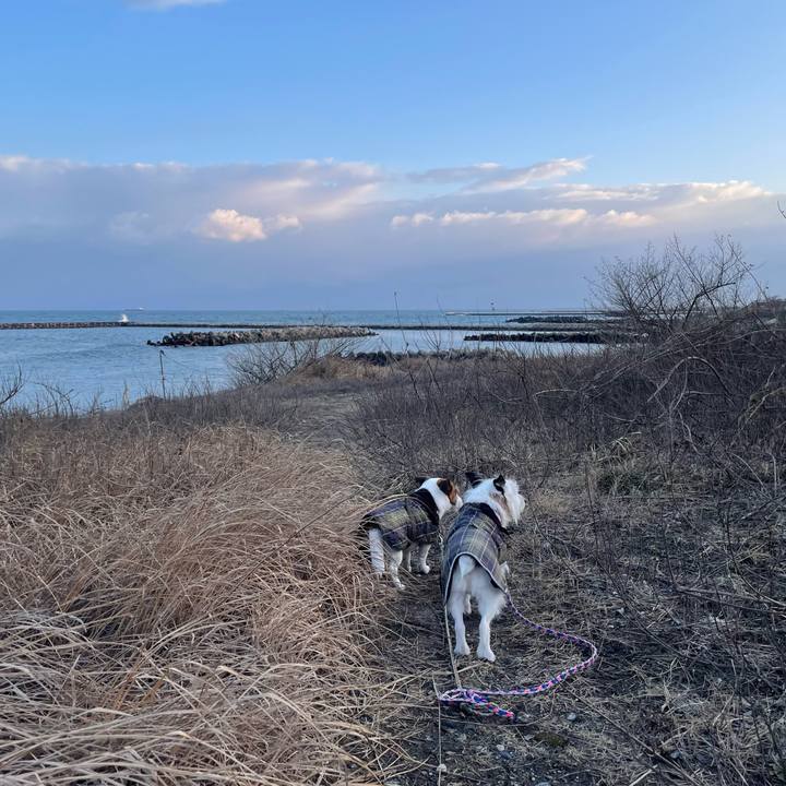 27c2a075 12c3 42a6 a1a6 9e5b17fd7f4d 1770856567074