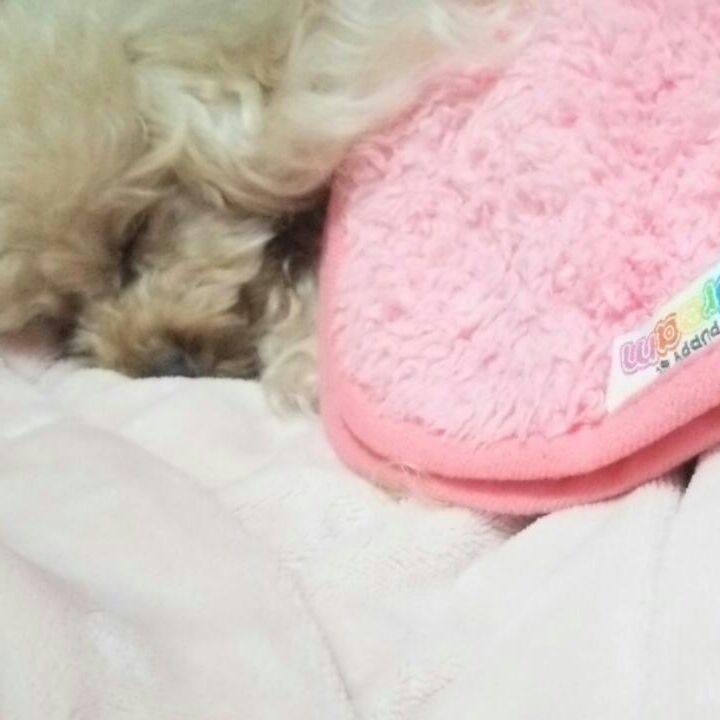 27c2ec97 ccac 4f2a ae22 68469e00266f 1539783304799