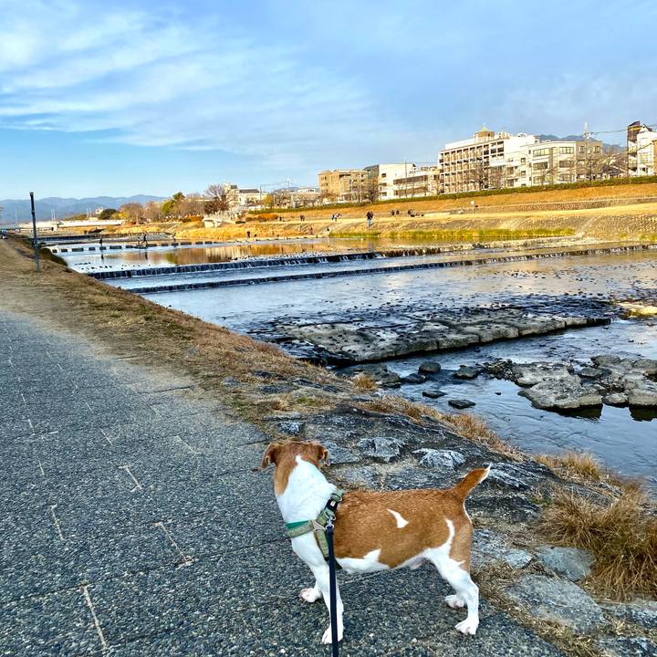 27c2efee f141 4119 b72c 9a8b312336c8 1609223714886