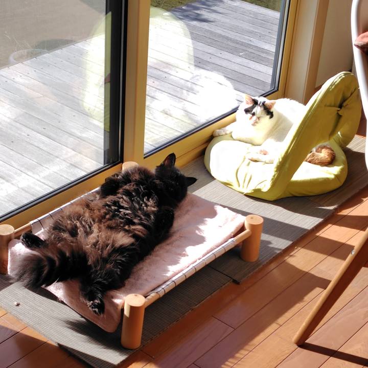 27c324a7 ff7e 4428 b6a5 29bb3c24748f 1768097998166