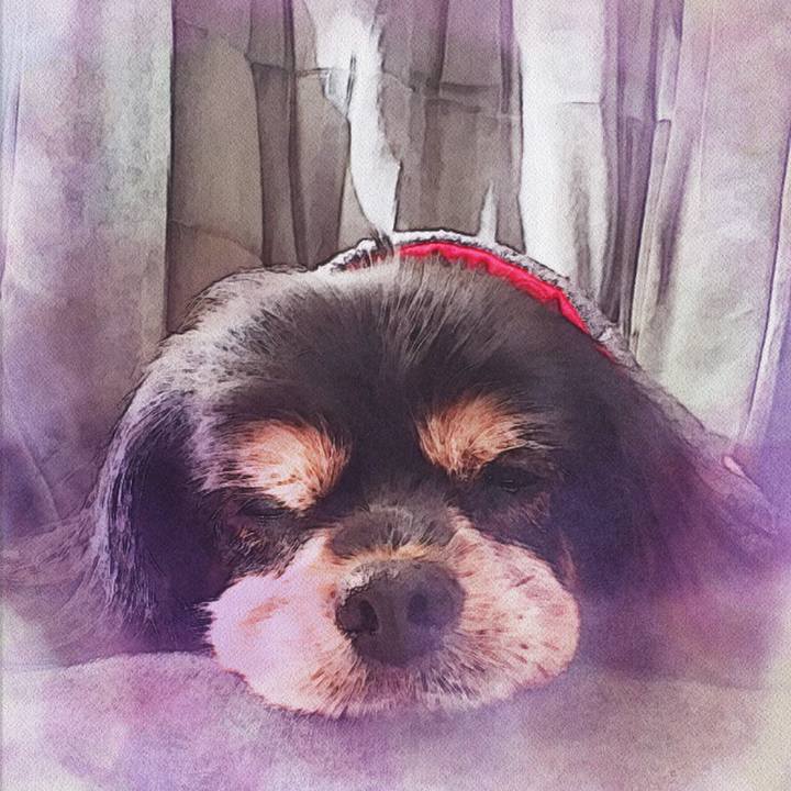 27c32c7a 9bf6 4e5e 8a47 25498adada5a 1555844716072