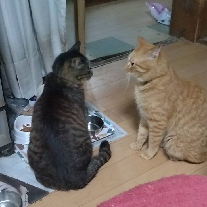 27c3589e 4acf 4b11 8e27 69b9f2905ff9 1721909399066