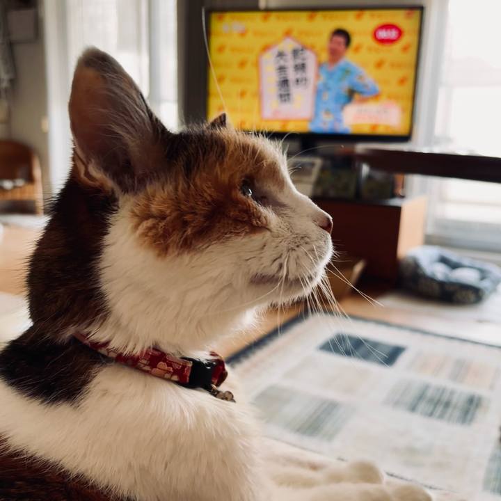 27c35c93 d372 4291 afd0 152f351a08cc 1725228997063