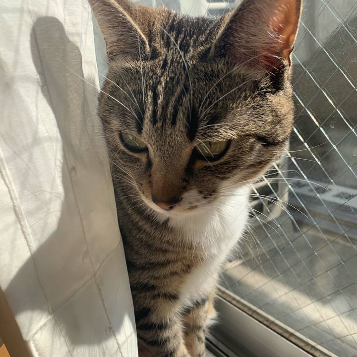 27c37d86 e955 44e7 8327 df8a1bbebb65 1552873034729