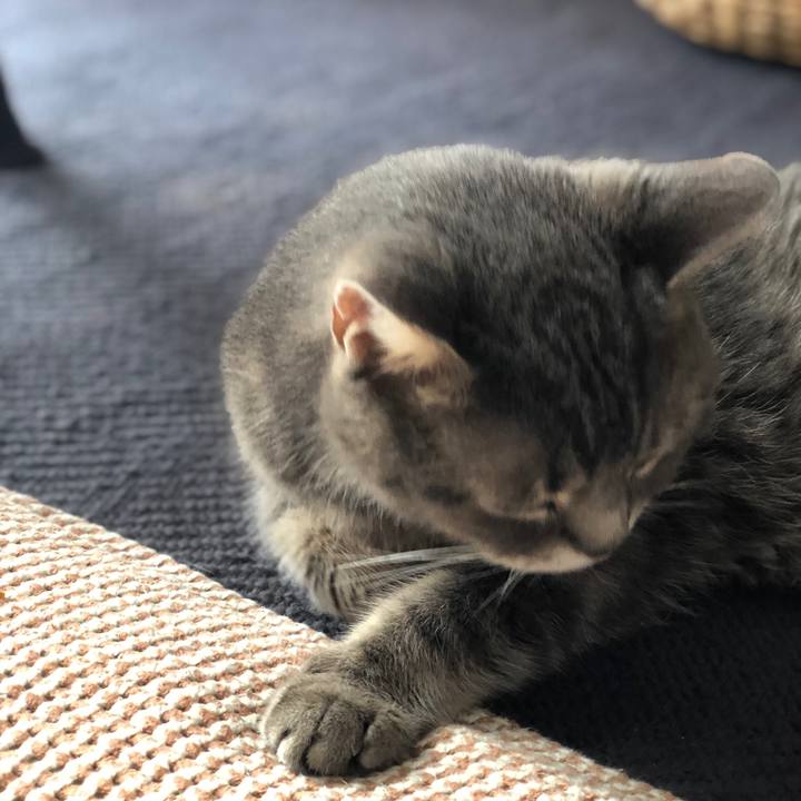 27c391ab c7dd 4e33 a0d7 2b103195475f 1566651763979