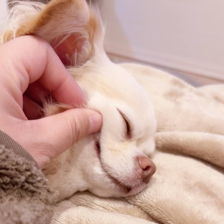 27c39566 370d 4f71 a42b b6e0e910217d 1738575393062