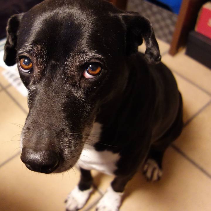 27c3a5b3 e304 40a5 84cb b3bfbdfb6063 1738888972660