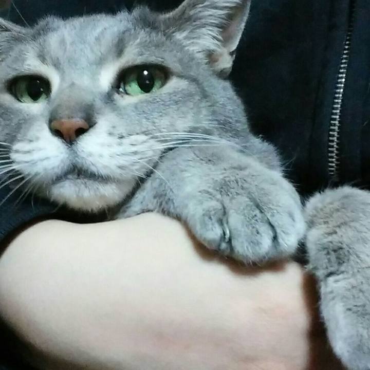 27c3b872 c9b8 45b1 872f cca992c2caed 1583829709004