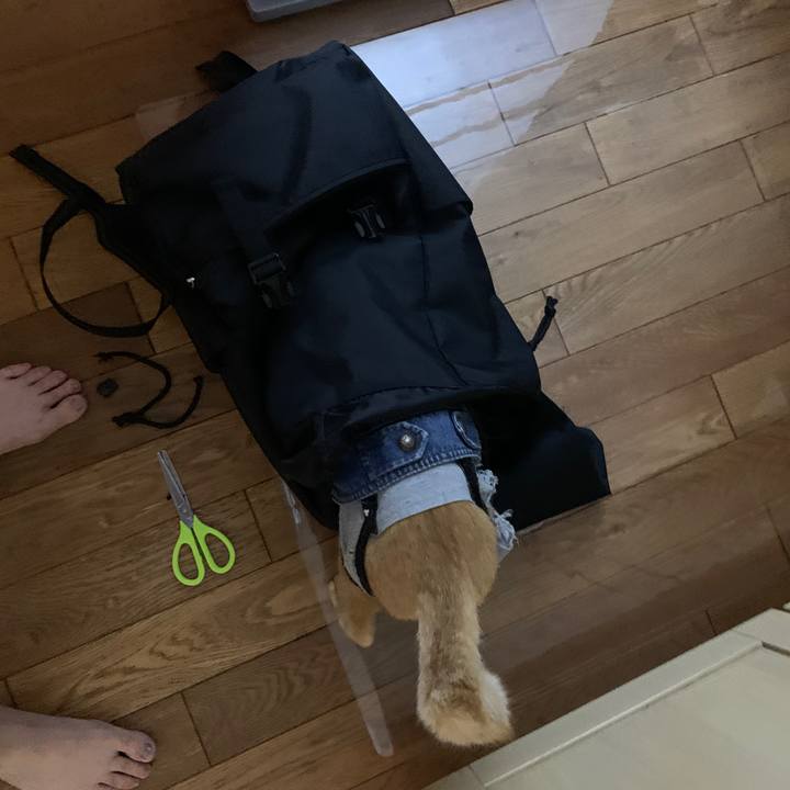 27c3e153 3462 4780 9d2a 5f7e46fca352 1656421354916